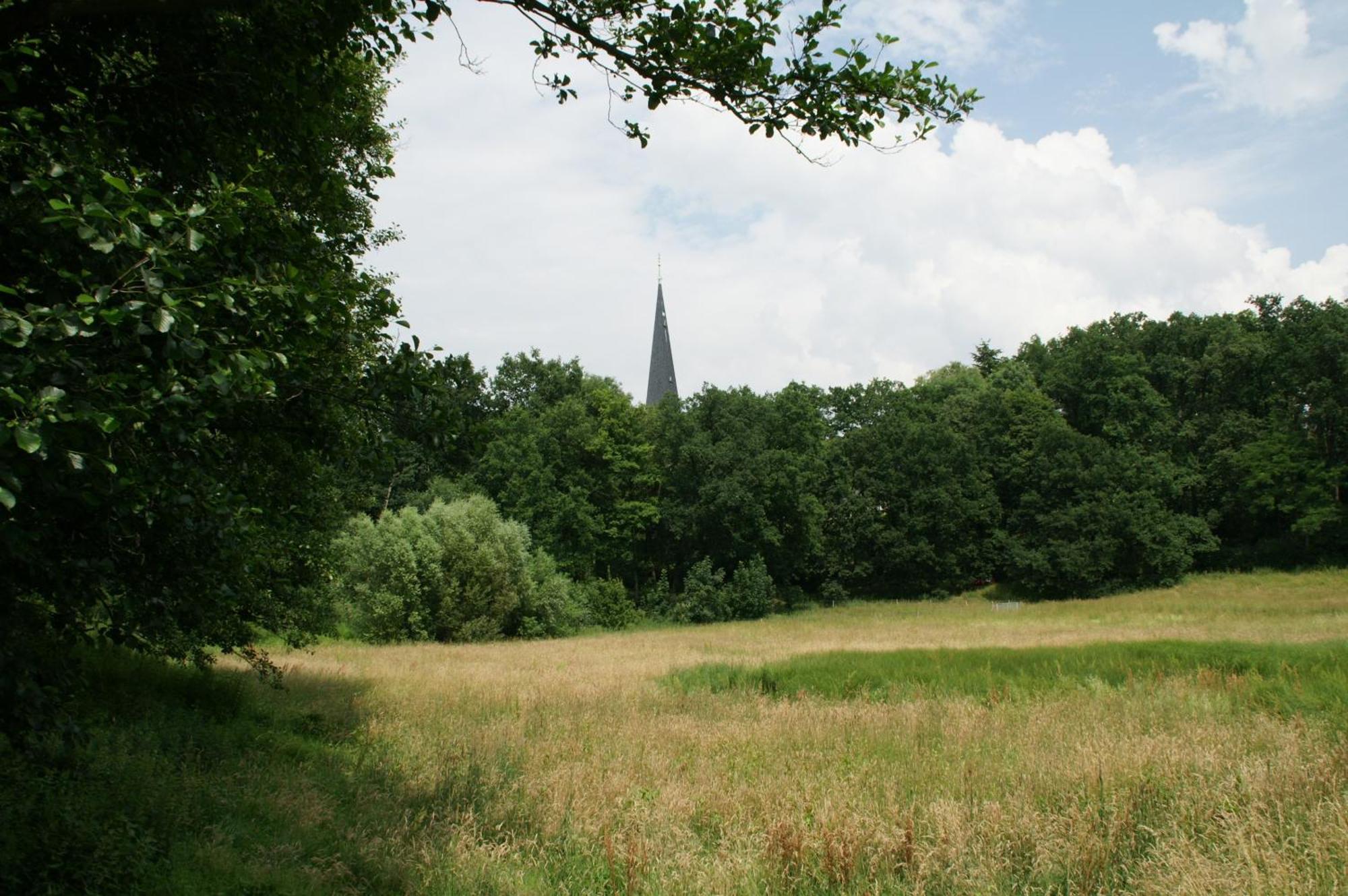 Affittacamere Tillmanns-haus *